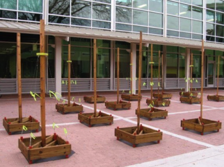 "Stud&rdquo; Farm 
Treated Wood, &ldquo;Studs&rdquo;, Hardware, Roofing Paper, Flagging Tape, Paint 
Dimensions:  Variable (15 Units); 
Each Unit 36"L. x 36"W. x 8'H. 
2008 (Revised Version)